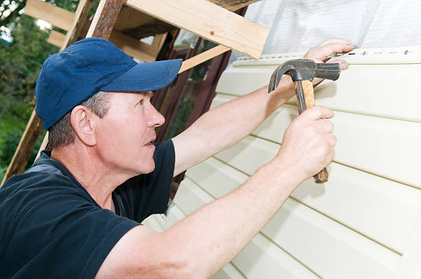 Best Fascia and Soffit Installation  in Lake Holiday, IN