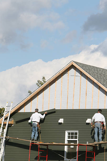 Best Custom Trim and Detailing for Siding  in Lake Holiday, IN